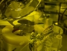 001_005_WB_First Sensor_8006_02_D