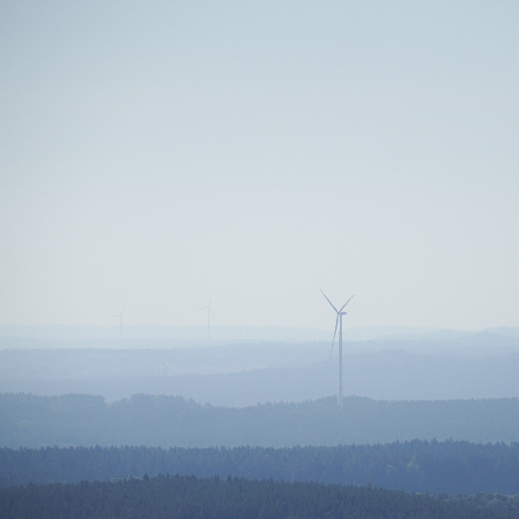 Z_SH_Drei_im_Wind