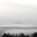 Z_SH_Morgennebel