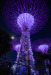Z_AH_Supertrees