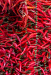 Z_DH_Chili