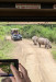 Z_RP_Heia-Safari