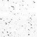 Z_SH_Abflug