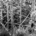 Z_SH_Meine_Seite_Deine_Seite