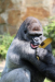 Z_WB_Hallo-Q-hier-007