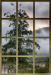 Z_WB_das-Fenster-zum-Fluss