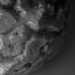 Z_DH_Popcorn_SW