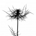 Z_GS_Junfer-im-Gruenen_3468_Original_04