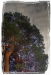 Z_JL_Postcard