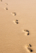 Z_LS_Spuren im Sand