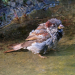 Z_RP_Frisch gebadet