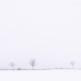 Z_SH_Whiteout