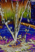 Z_WB_Brunnen