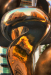 Z_WB_Phoenix