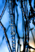 Z_WB_blaues-Eis