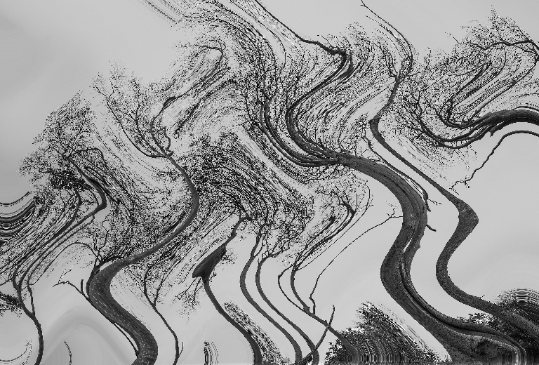 AS_Baumschwingungen-Abstrakt