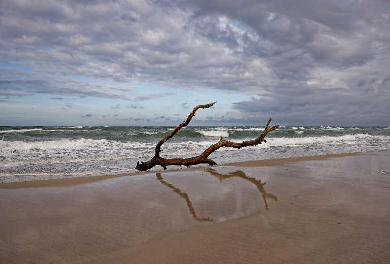HS_Begegnung-am-Weststrand