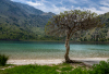 DH_Kournas_HAE06638