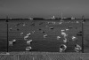 AH_Chaos-in-der-Stille