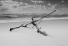 AS_Am-Darsser-Ort
