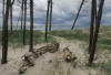 AS_Blick-auf-Ostsee-Darsser-Ort