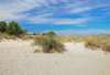 AS_Duenenlandschaft-bei-Ahrenshoop