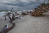 AS_Nach-dem-Strurm-am-Weststrand