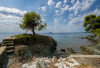 DH_Baum-mit-Aussicht