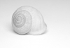 DH_Helle-Schnecke