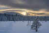 DH_Wintersonne
