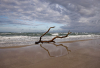 HS_Begegnung-am-Weststrand
