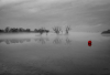 HS_einsam-am-Gartower-See