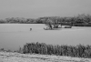 HS_einsam auf dem Gartower See