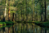 LS_Spreewald