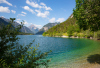 LS_Plansee