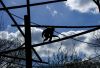 RP_Artist-im-Gegenlicht