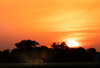 SH_Ernte-am-Abend_DSC05417