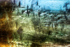 WB_Charon