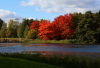 WB_Herbst-am-See