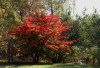 WB_Herbst-im-Park