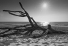 AS_Weststrand Darsser Ort