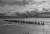 BZ_Sylt