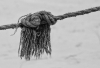 BZ_alter Knoten
