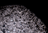 DH_Schaum