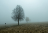 GS_Novemberwetter