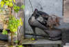 GS_Restposten