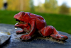 JL_Froschkönig