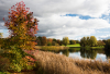 LS_Herbst