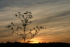 WB_Abend