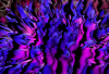WB_Blauflammen